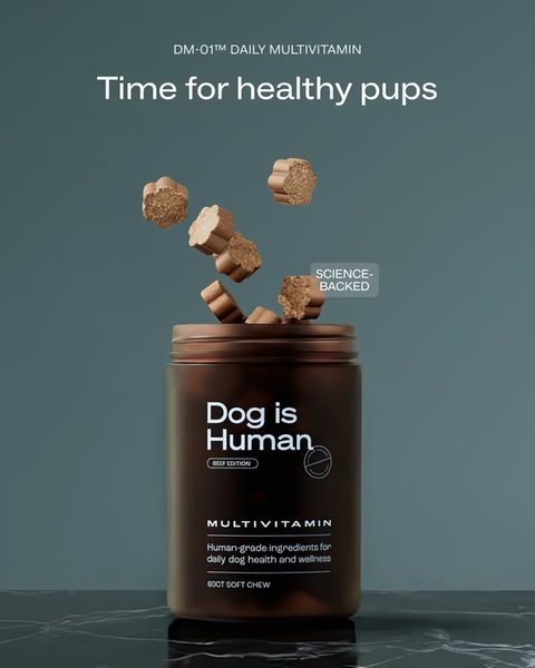 A high-end, minimalist product shot of a dog multivitamin jar with soft chews suspended in the air to signify ingredients and quality.